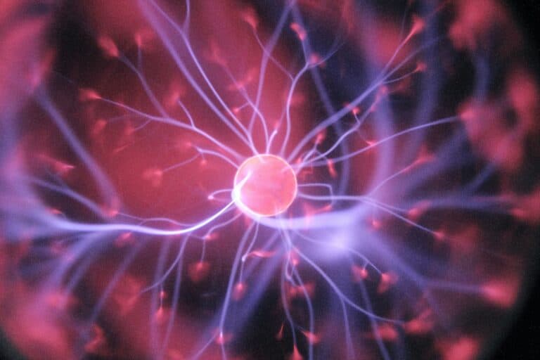 Innovation in Longevity: Recent Advances in Research