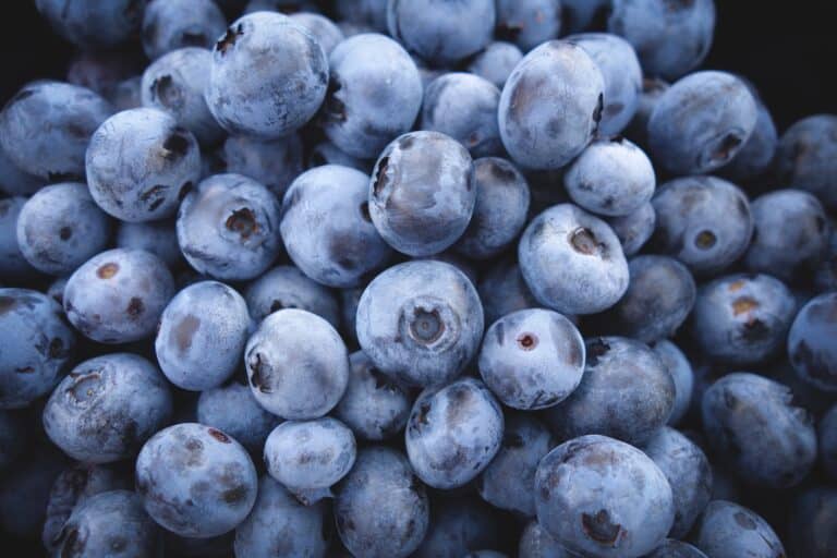 Natural Anti-Aging: Harnessing Nature’s Remedies for Longevity