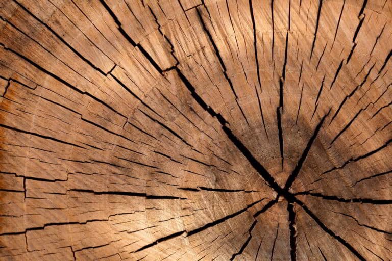 Stress and Aging: How Stress Impacts Your Lifespan